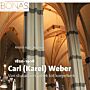Carl (Karel) Weber 1820-1908 - Van stukadoorsgothiek tot koepelkerk