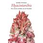 Hyacintorchis - Een nieuwe orchidee aan de Noordzee