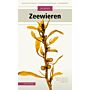 Veldgids Zeewieren - Meer dan 130 soorten  (Pre-order September 2025)