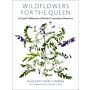 Wild Flowers for the Queen - a visual celebration of britisch coronation meadows (Feb. 2021)