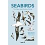 Seabirds - The New Identification Guide