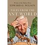 Tales from the Ant World (Hardcover)