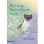 Bunzing, hermelijn en wezel - Kleine roofdieren