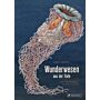 Ernst Haeckel - Wunderwesen aus der Tiefe (Das Pop-Up Buch)