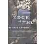 The Edge of the Sea