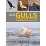 Gulls of Europe, North Africa and the Middle East: An Identification Guide