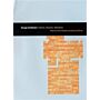 Chicago Architecture: : Histories, Revisions, Alternatives