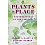 Plants in Place - A Phenomenology of the Vegetal