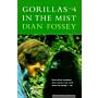 Gorillas in the Mist