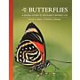 The Lives of Butterflies - 
