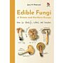 Edible Fungi of Britain and Northern Europe - How to Identify, Collect and Prepare