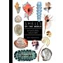 Shells of the World : A Natural History