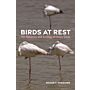 Birds at Rests