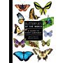 Butterflies of the World - A Guide to Every Subfamily (Pre-order September 2025)