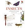 Wild Guides - Insects of Britain and Europe