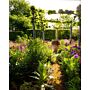 Tuinieren met Monty Don - Het handboek voor alle tuiniers