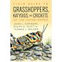 Field Guide to the Grasshoppers, Katydids, and Crickets of the United States