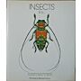 Insects, etc.: An Anthology of Arthropods Featuring a Bounty of Beetles - Paintings by Bernard Durin