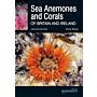Sea Anemones and Corals of Britain and Ireland (Second Edition)