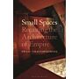 Small Spaces - Recasting the Architecture of Empire