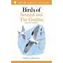 Field Guide to Birds of Senegal and The Gambia (Second Revised Edition)