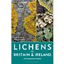 Lichens of Britain and Ireland - An Introductory Guide