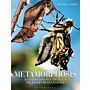 Metamorphosis - Astonishing Insect Transformations