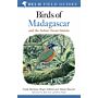 Helm Field Guides - Birds of Madagascar and the Indian Ocean Islands