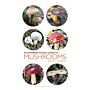 Bloomsbury Pocket Guide to Mushrooms