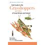 Field Guide to the Grasshoppers and Allies of Great Britain and Ireland : Grasshoppers, Crickets, Earwigs, Cockroaches, Mantids and Stick-insects