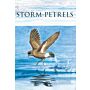 Storm-petrels (July 2024)