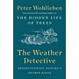 The Weather Detective: Rediscovering Nature's Secret Signs