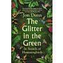 The Glitter in the Green: In Search of Hummingbirds