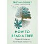 How to read a Tree