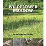 How to make a wildflower meadow - Tried-And-Tested Techniques for New Garden Landscapes