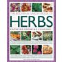 Kitchen & Garden Book of Herbs: Knowing, Growing, Cooking