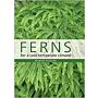 Ferns for a Cool Temperate Climate