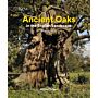 Ancient Oaks in the English Landscape (Second Edition)