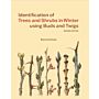 Identification of Trees and Shrubs in Winter Using Buds and Twigs