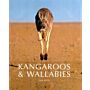 Kangaroos & Wallabies of Australia
