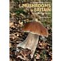 An Identification Guide to Mushrooms of Britain and Northern Europe