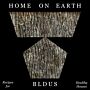 Home on Earth : Recipes for Healthy Houses