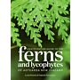 Identification Guide to the Ferns and Lycophytes of Aotearoa New Zealand