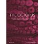 The Octopus: On Diversities, Art Production, Educational Models, and Curatorial Trajectories