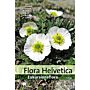 Flora Helvetica - Exkursionsflora