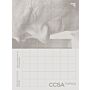 CCSA Topics:  Mehr als ein Haus ! - Marcel Breuer in Wiesbaden