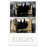 Elegies - Laments for an architectural project