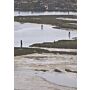 Urban Shores - Towards Landscape-Based Coastal Adaptation