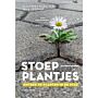 Stoepplantjes - Ontdek 95 planten in de stad