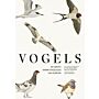 Vogels - De grote ANWB vogelgids van Europa